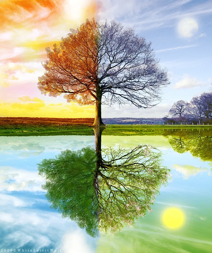 Photograph for The Season of Cycles
