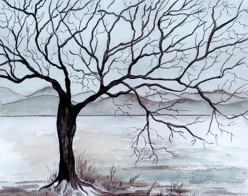 Photograph for The Cultivation of Winter